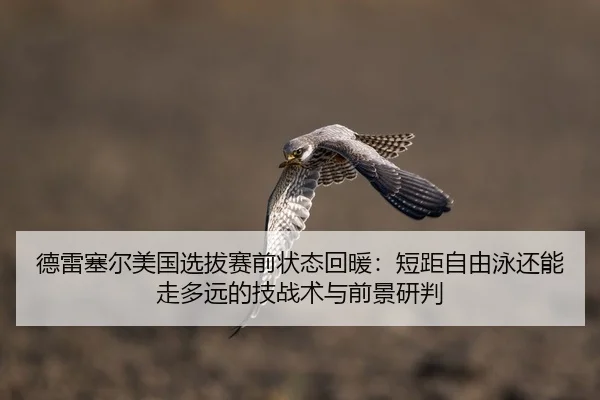 de-lei-sai-er-mei-guo-xuan-ba-sai-qian-zhuang-tai-hui-nuan-duan-ju-zi-you-yong-hai-neng-zou-duo-yuan-de-ji-zhan-shu-yu-1-272.jpg