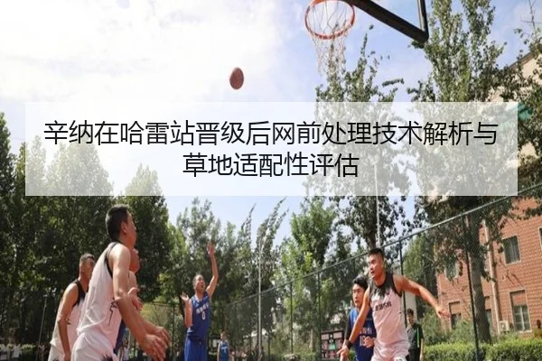 辛纳在哈雷站晋级后网前处理技术解析与草地适配性评估